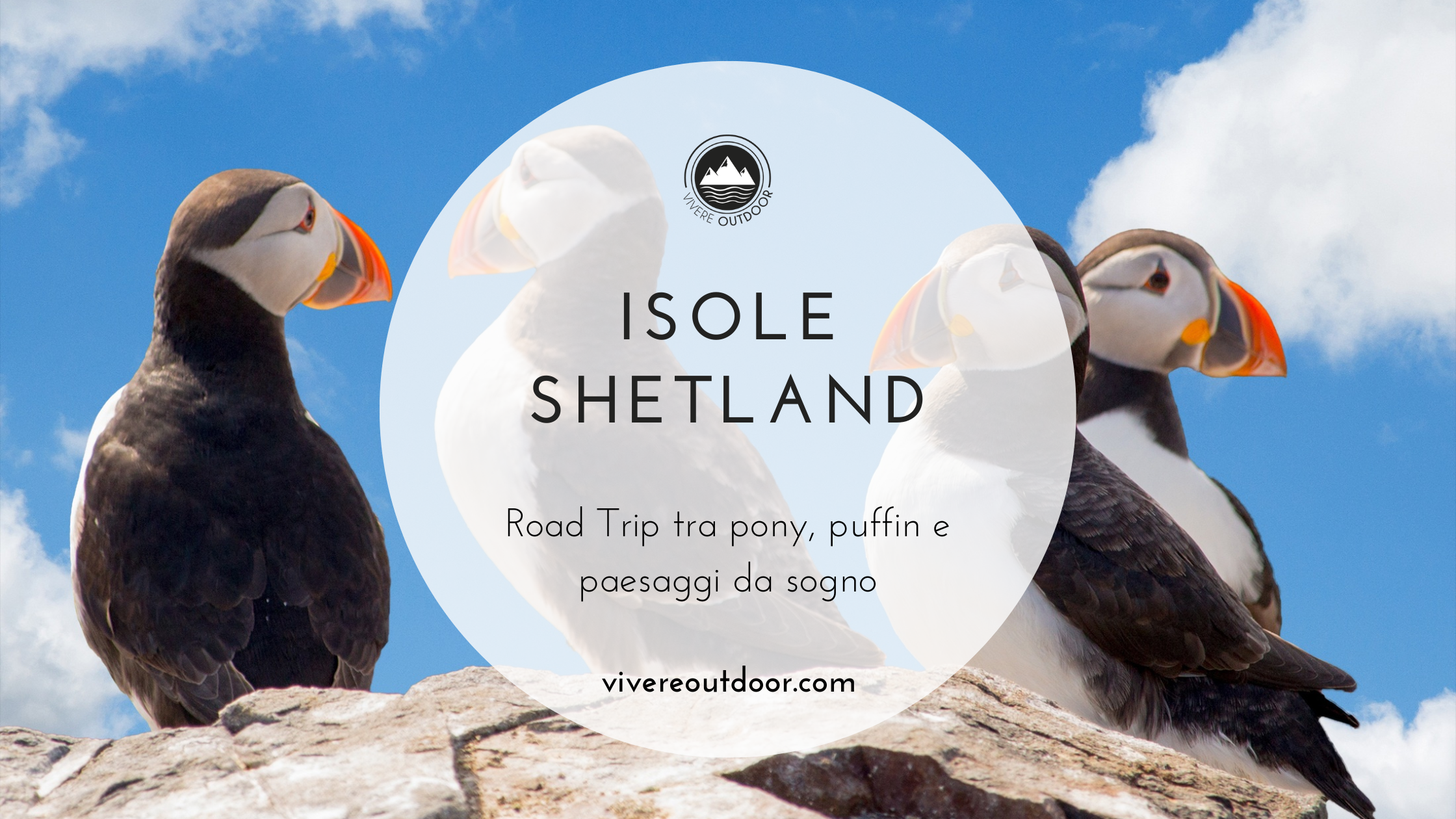 Isole Shetland in Camper tra Pony, Puffin e Paesaggi da Sogno